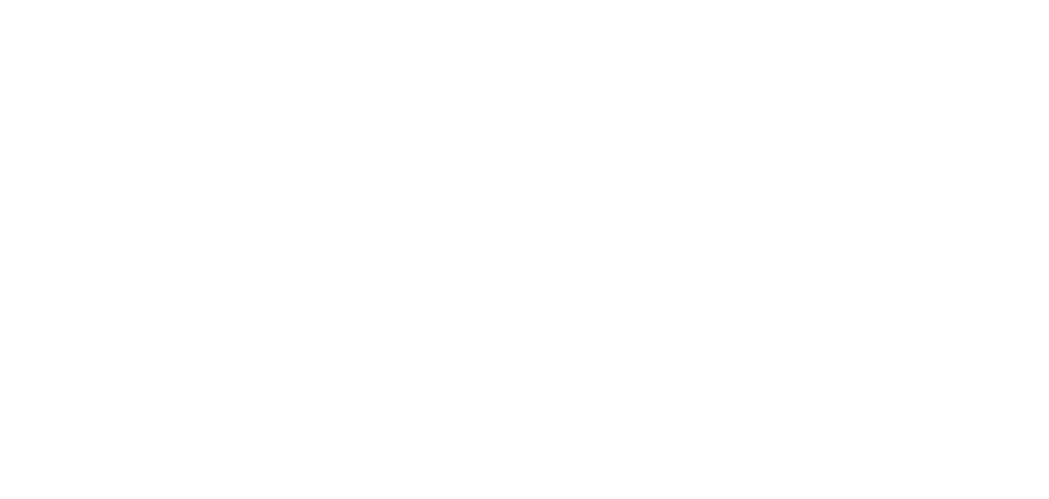 Cysne Finanças